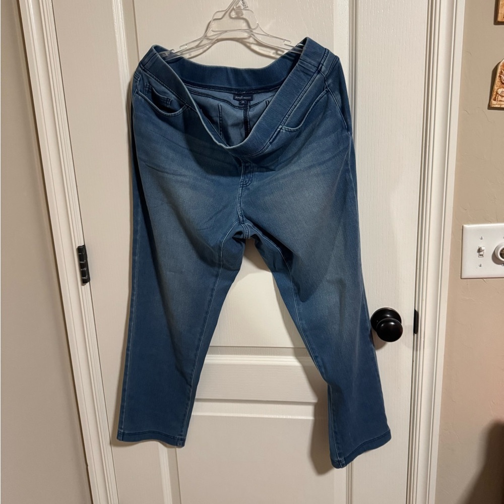 J. Jill Stylish Blue Straight Leg Women's Jeans